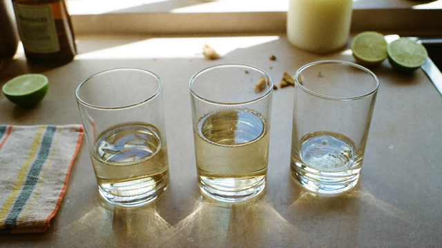 Which THC Drink Strength Is Right for You: 2.5 vs 5 vs 10mg | Floral