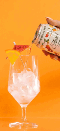 Chilled cans of Delta-9 THC seltzers surrounded by ice and fresh fruit, highlighting a refreshing, bubbly drink experience.