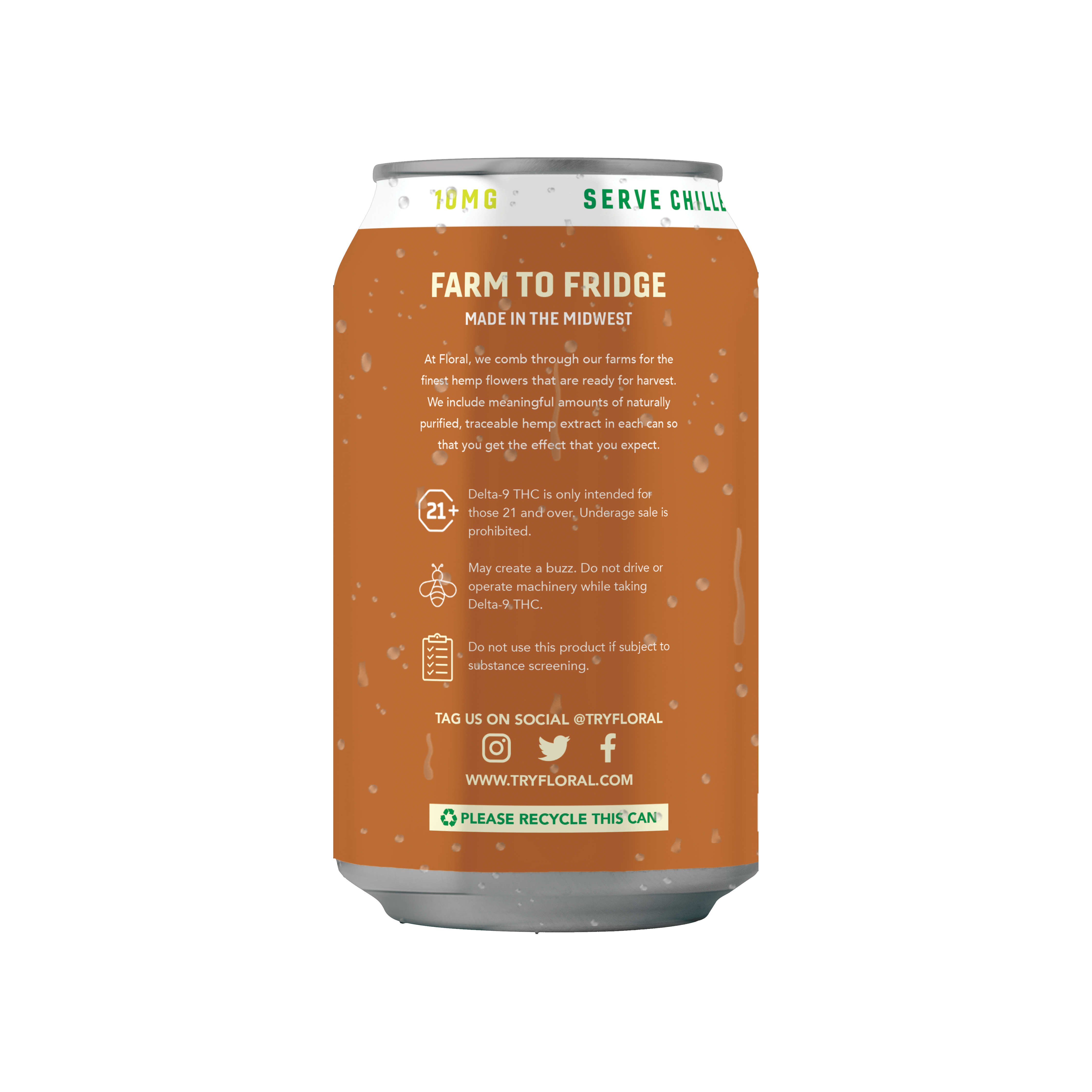 Modern Mule (10mg THC)