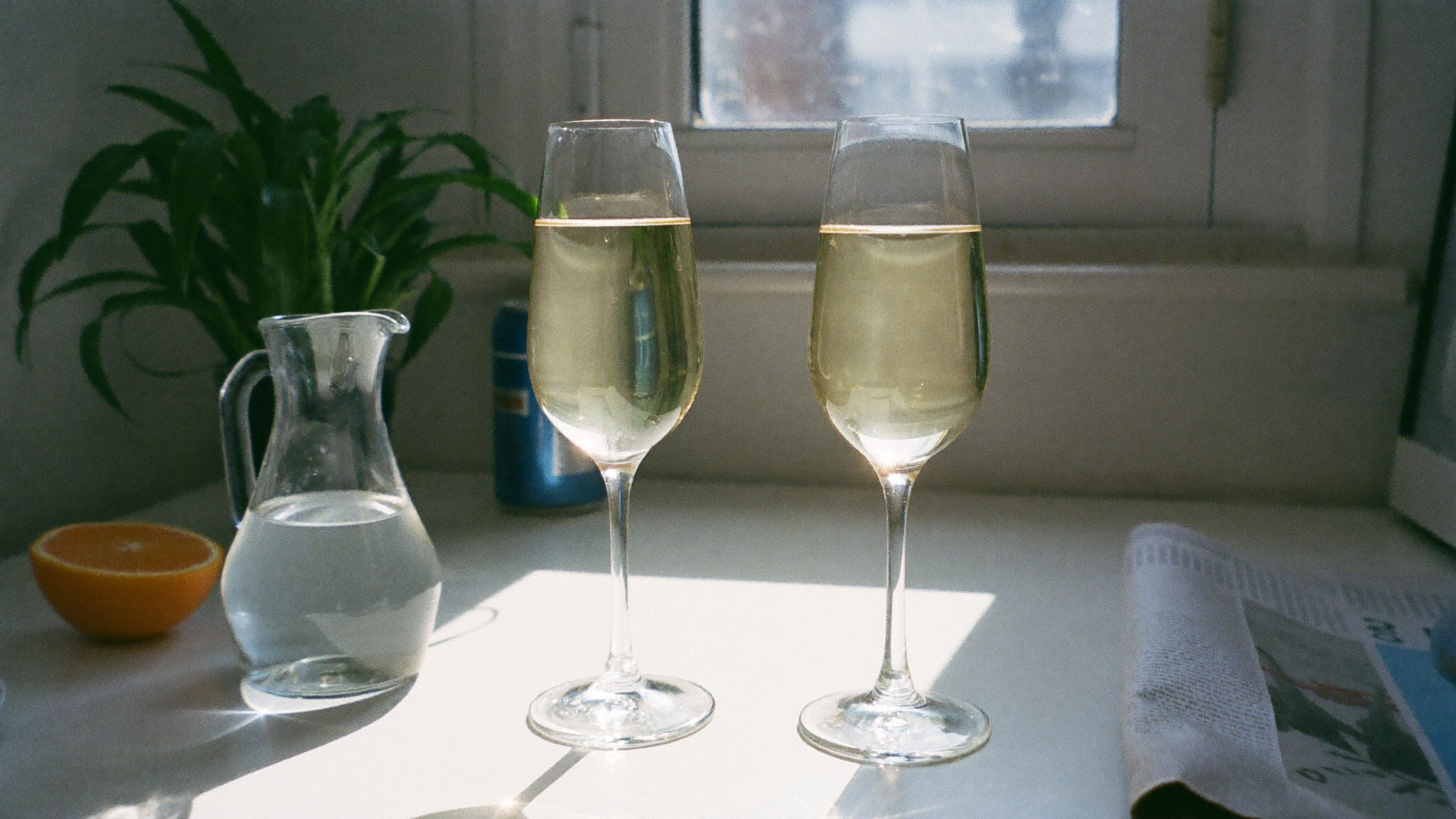 Delta-8 vs Delta-9 Drinks: What's the Difference? | Floral