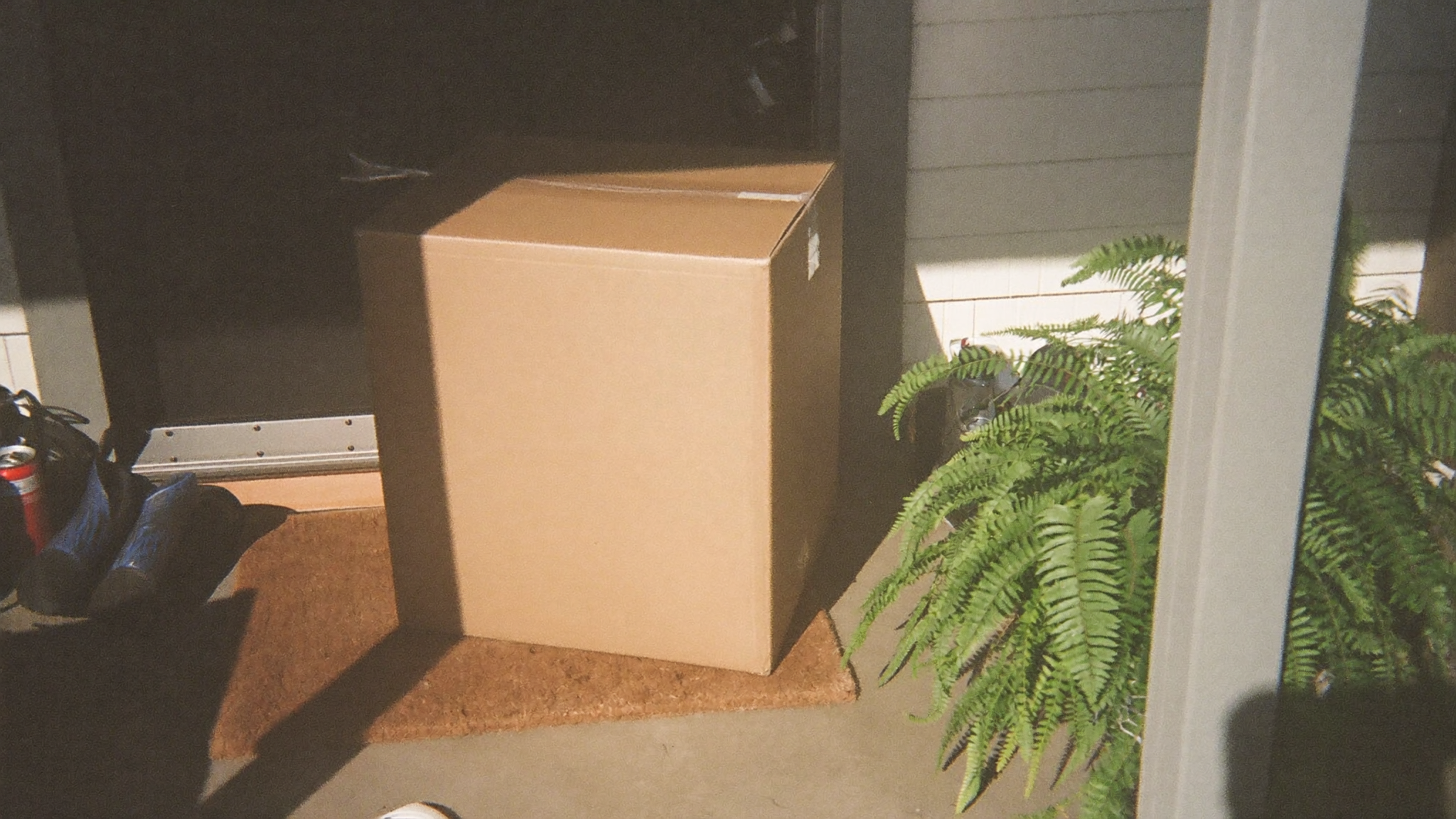 THC Drink Subscription Boxes: Are They Worth It?