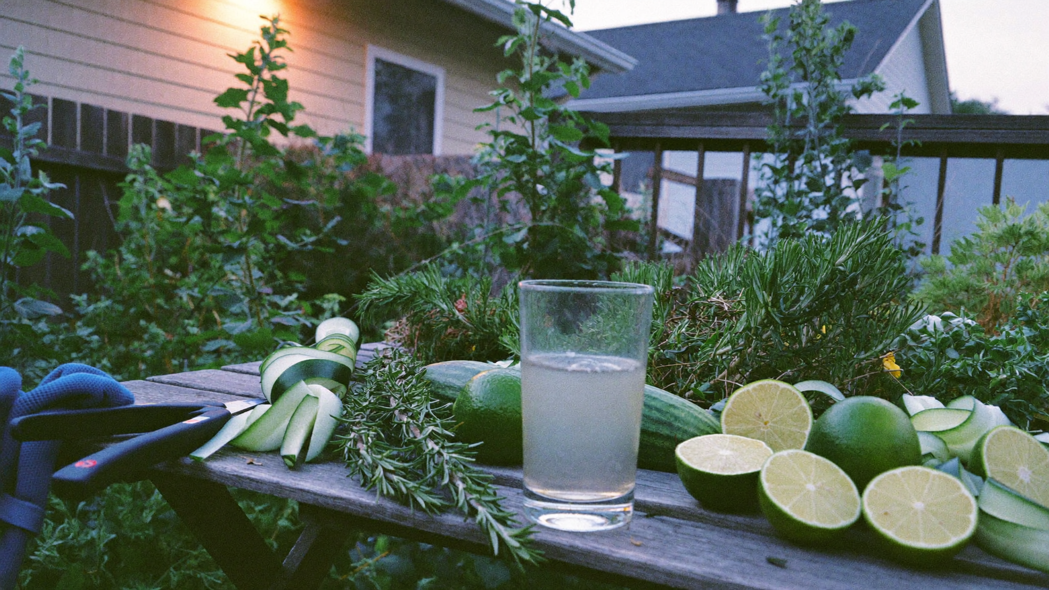Gin & Tonic Alternative: The Botanical Swap