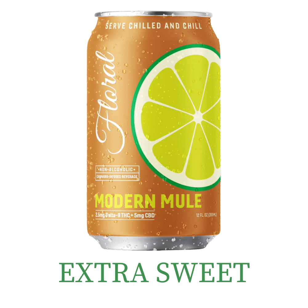 Extra Sweet Modern Mule