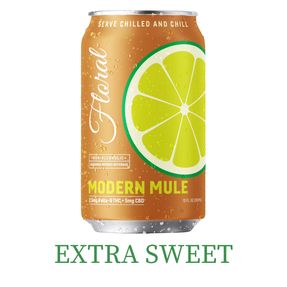 Extra Sweet Modern Mule