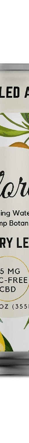 Blackberry Lemonade CBD Sparkling Water—a refreshing, alcohol-free beverage infused with calming CBD and bold fruit flavors.